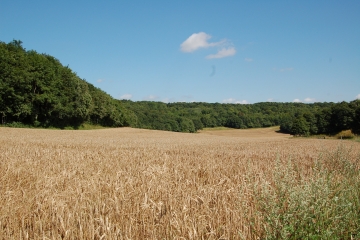 ENTRE BEAUCE ET HUREPOIX-essonne