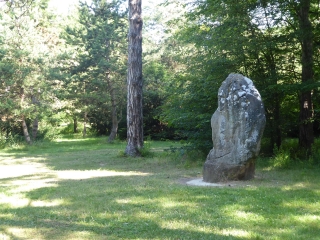 PROMENADE DANS LE PARC DU PORT AUX CERISES-essonne