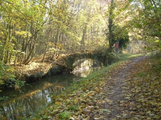 EPINAY-SUR-ORGE - RANDONNEE DES TROIS RIVIERES-essonne