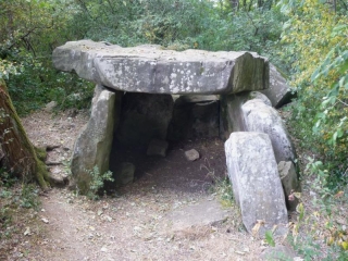 gatinais-francais - BOISSY-LE-CUTTE - BOUCLE CAMPAGNARDE