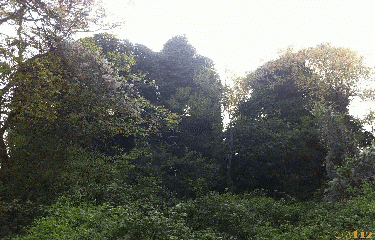 SOUZY-LA-BRICHE ET TOUR DES GRANGES-essonne