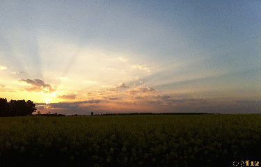 SOUZY-LA-BRICHE ET TOUR DES GRANGES-essonne