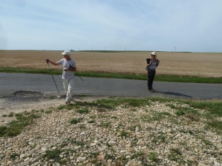 MEREVILLE - LA CAPITALE DU CRESSON-essonne