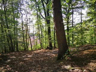 DE IGNY A VILLEBON-PALAISEAU-essonne