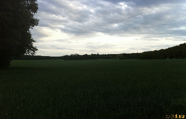 ABBAYE DE L OUYE-essonne