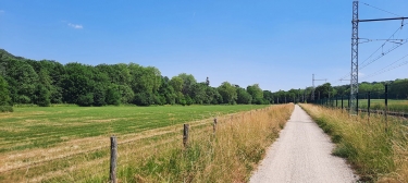 BIEVRES - LE SENTIER SERGE ANTOINE-essonne