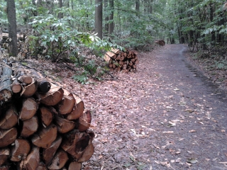 BIEVRES - ANTONY-essonne