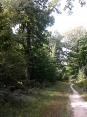 BOUSSY ST ANTOINE - RIS ORANGIS-essonne