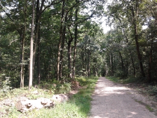 BOUSSY ST ANTOINE - RIS ORANGIS-essonne