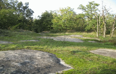 VALLEE DE CHENEVIERE-essonne