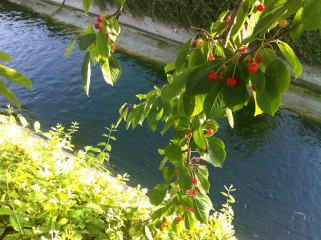 D EAU ET D HISTOIRE-essonne
