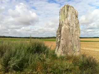 RANDO DES PLANTES MEDICINALES-essonne