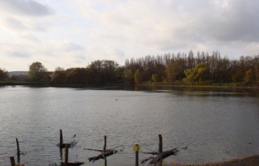 ST-GERMAIN-LES-ARPAJON-essonne