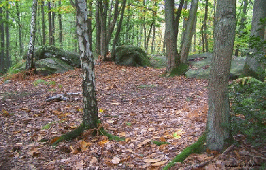PETITE BAUCE-essonne