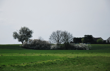 PETITE BAUCE-essonne