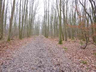 SAULX-LES-CHARTREUX - LONGJUMEAU-essonne