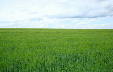 BRIERES-LES-SCELLES-essonne