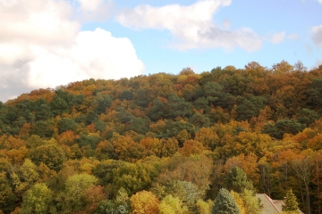 DE DOURDAN A BREUILLET-essonne
