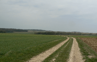 BRIERES-LES-SCELLES - CHATEAU DE SAUDREVILLE - FERME VAUCELAS-essonne
