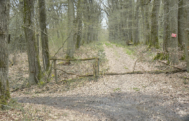 SAINT-CHERON - CIRCUIT DU CHATEAU DU MARAIS-essonne