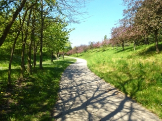 DE MASSY-VERRIERES AU PARC DE SCEAUX EN PASSANT PAR LA COULEE VERTE-essonne