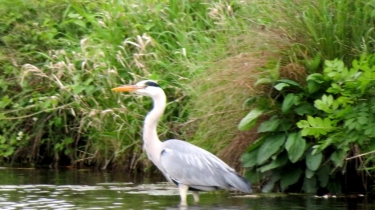 SAINT-MICHEL-SUR-ORGE - BASILIQUE DE LONGPONT-SUR-ORGE-essonne