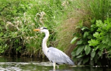 SAINT-MICHEL-SUR-ORGE - BASILIQUE DE LONGPONT-SUR-ORGE-essonne