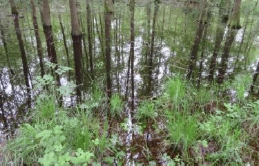 EVRY - SEINE ET FORET-essonne