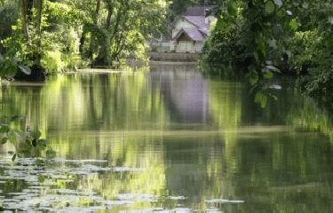 BOUSSY SAINT ANTOINE - LA BOUCLE DE L YERRES-essonne