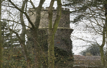 BOIS DE SAINT CUCUFA-region-parisienne