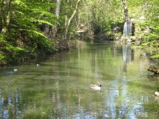 DES BORDS DE MARNE AU CHATEAU DE VINCENNES-region-parisienne
