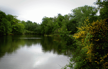 GR22 - PARTIE 1-region-parisienne