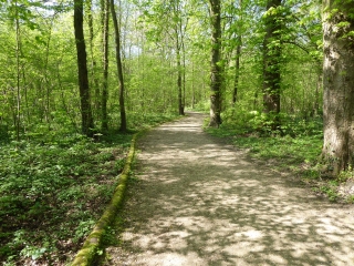 PARC FORESTIER DE LA POUDRERIE-region-parisienne