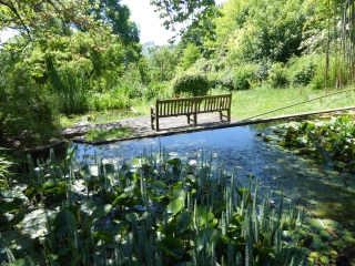 SUCY EN BRIE ET LE PARC DU MORBRAS-region-parisienne