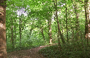 FORET DE MEUDON-region-parisienne