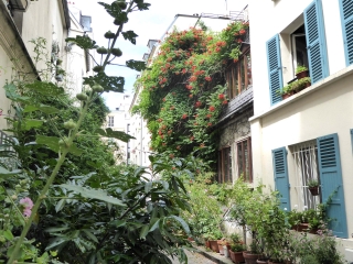 QUARTIER DE MONTPARNASSE - UN QUARTIER A DECOUVRIR-region-parisienne