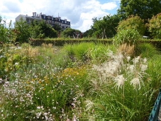 LES CHARMES TROP MECONNUS DU XX EME : DE BELLEVILLE A GAMBETTA-region-parisienne
