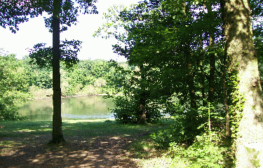 FORET DE MALMAISON-region-parisienne