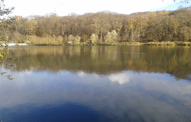 HOPITAL BECLERE - LES ETANGS DE MEUDON -region-parisienne