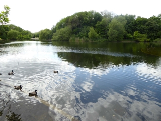 ASNIERES - PARC DES CHANTERAINES A VILLENEUVE LA GARENNE-region-parisienne