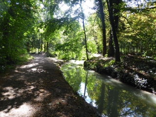 A TRAVERS LE BOIS DE BOULOGNE-region-parisienne