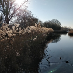 EPINAY-SUR-SEINE - PARCS URBAINS - GENNEVILLIERS-region-parisienne