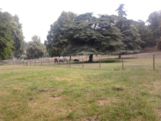 CHAVILLE - BOULOGNE-region-parisienne