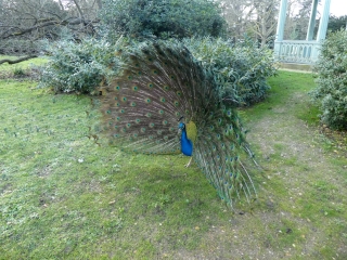 DE L ILE DE LA JATTE A DAUPHINE PAR L ILE DE PUTEAUX-BAGATELLE ET LE LAC DE BOULOGNE-region-parisienne