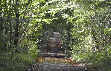 GR26 - PARTIE 1-region-parisienne