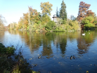 RANDO DANS LE BOIS DE BOULOGNE - PIEDS SECS-region-parisienne