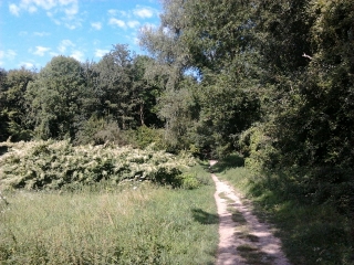 DE MEUDON A VIROFLAY-region-parisienne