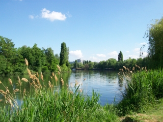 DE FORET EN FORET-region-parisienne