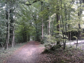 HARAS DE JARDY-region-parisienne