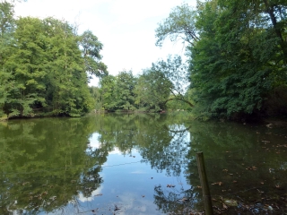 BOULOGNE - DAUPHINE-region-parisienne